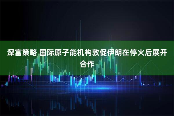 深富策略 国际原子能机构敦促伊朗在停火后展开合作
