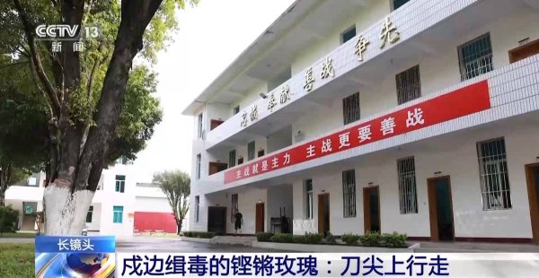 神牛资讯 铿锵玫瑰 走进缉毒女民警任莎莎的故事