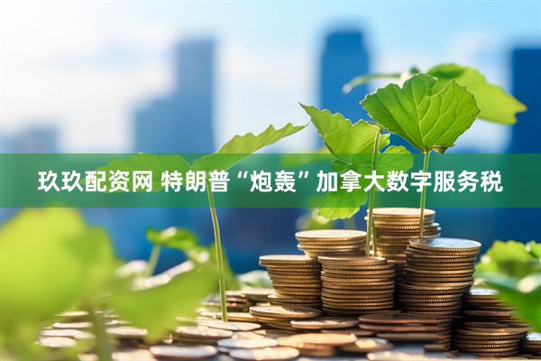 玖玖配资网 特朗普“炮轰”加拿大数字服务税