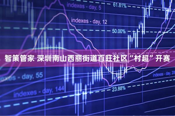 智策管家 深圳南山西丽街道百旺社区“村超”开赛