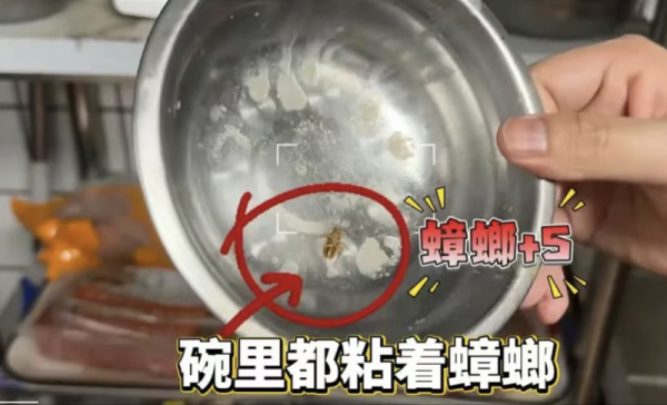 垒富配资 多店后厨蟑螂乱爬被停业整改的牛约堡：曾承诺升级脏乱差门店