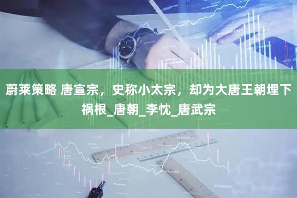 蔚莱策略 唐宣宗，史称小太宗，却为大唐王朝埋下祸根_唐朝_李忱_唐武宗