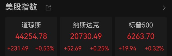 同花顺配资 纳指续创新高，热门中概股多数走低